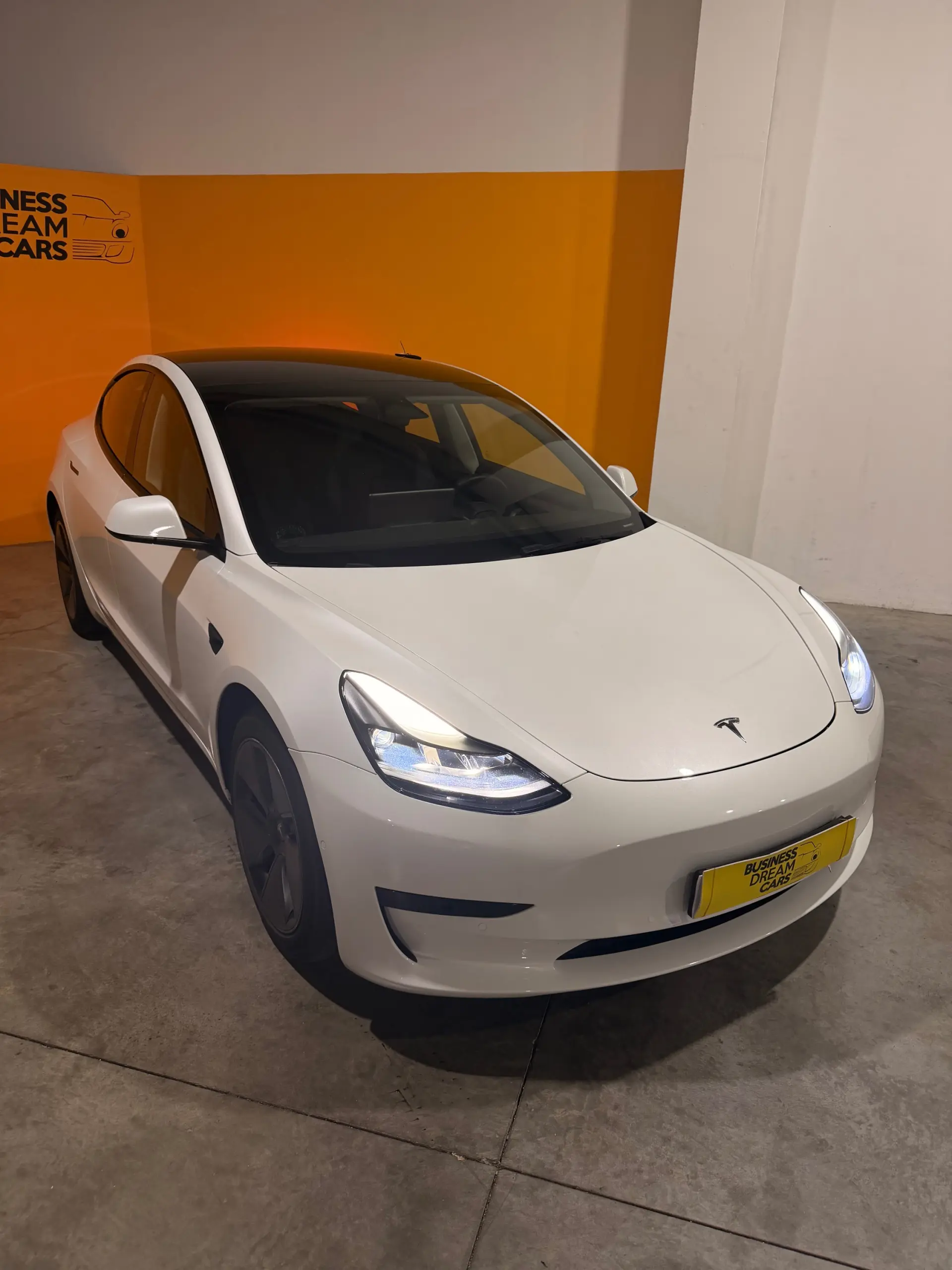 Tesla Model 3 Standard Range Plus RWD 1