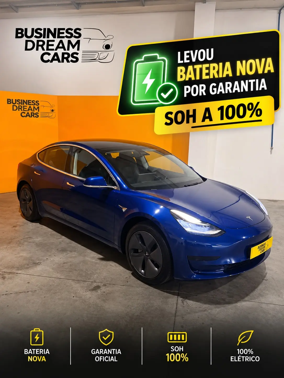 Tesla Model 3 Standard RWD 1