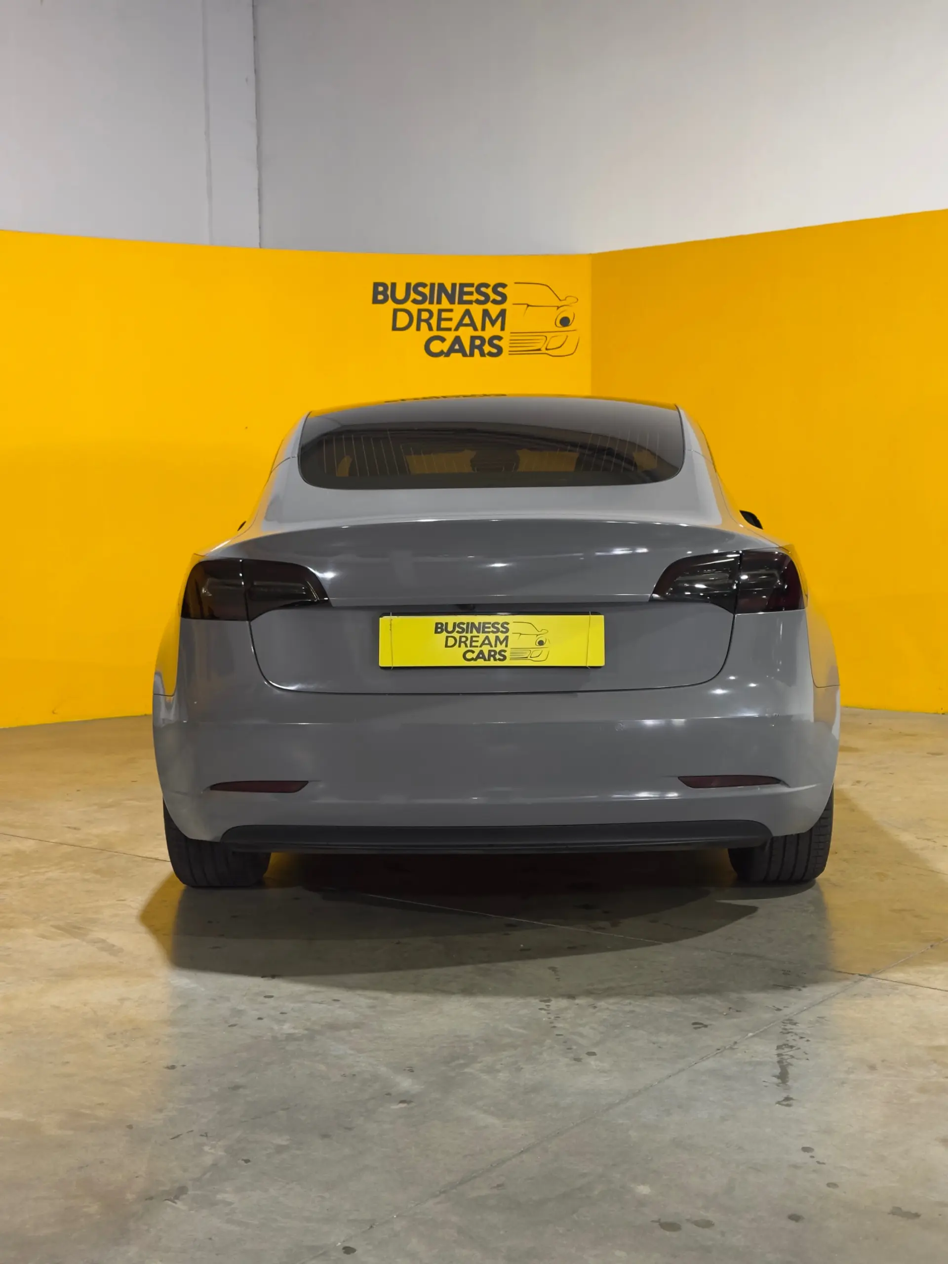 Tesla Model 3 Standard Range Plus RWD 9