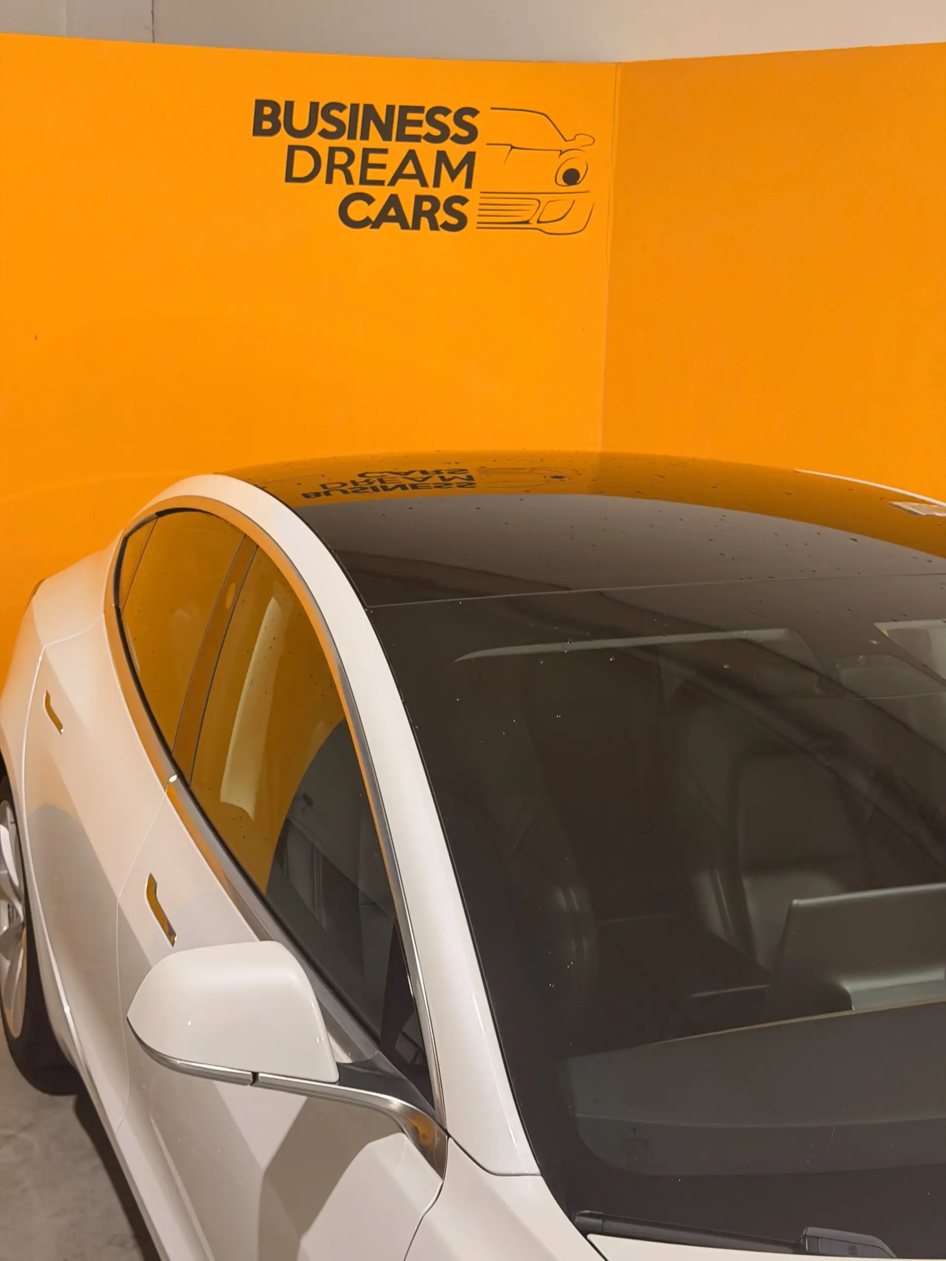 Tesla Model 3 Standard RWD Plus 6