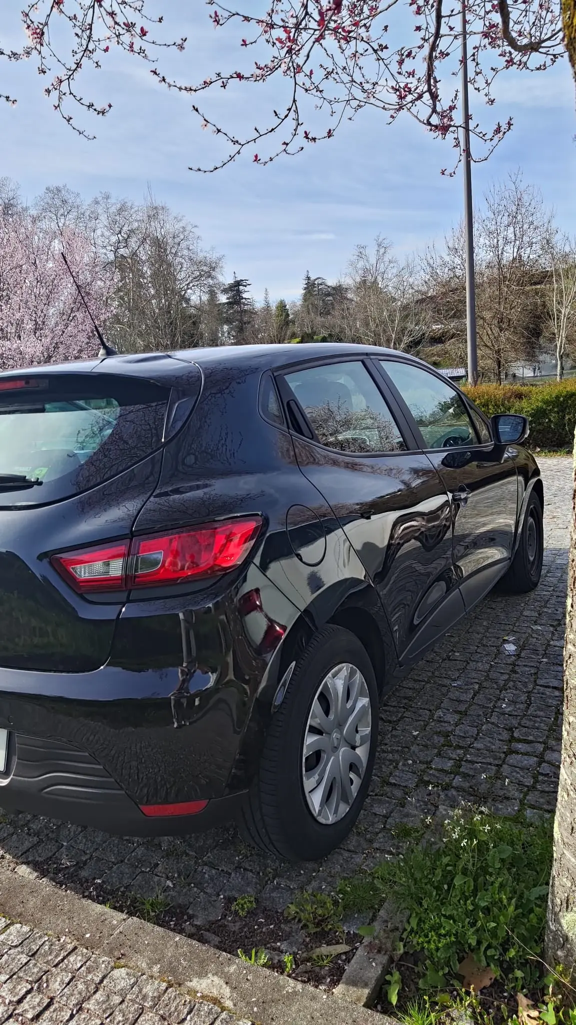 Renault Clio dCi 90 Dynamique 6