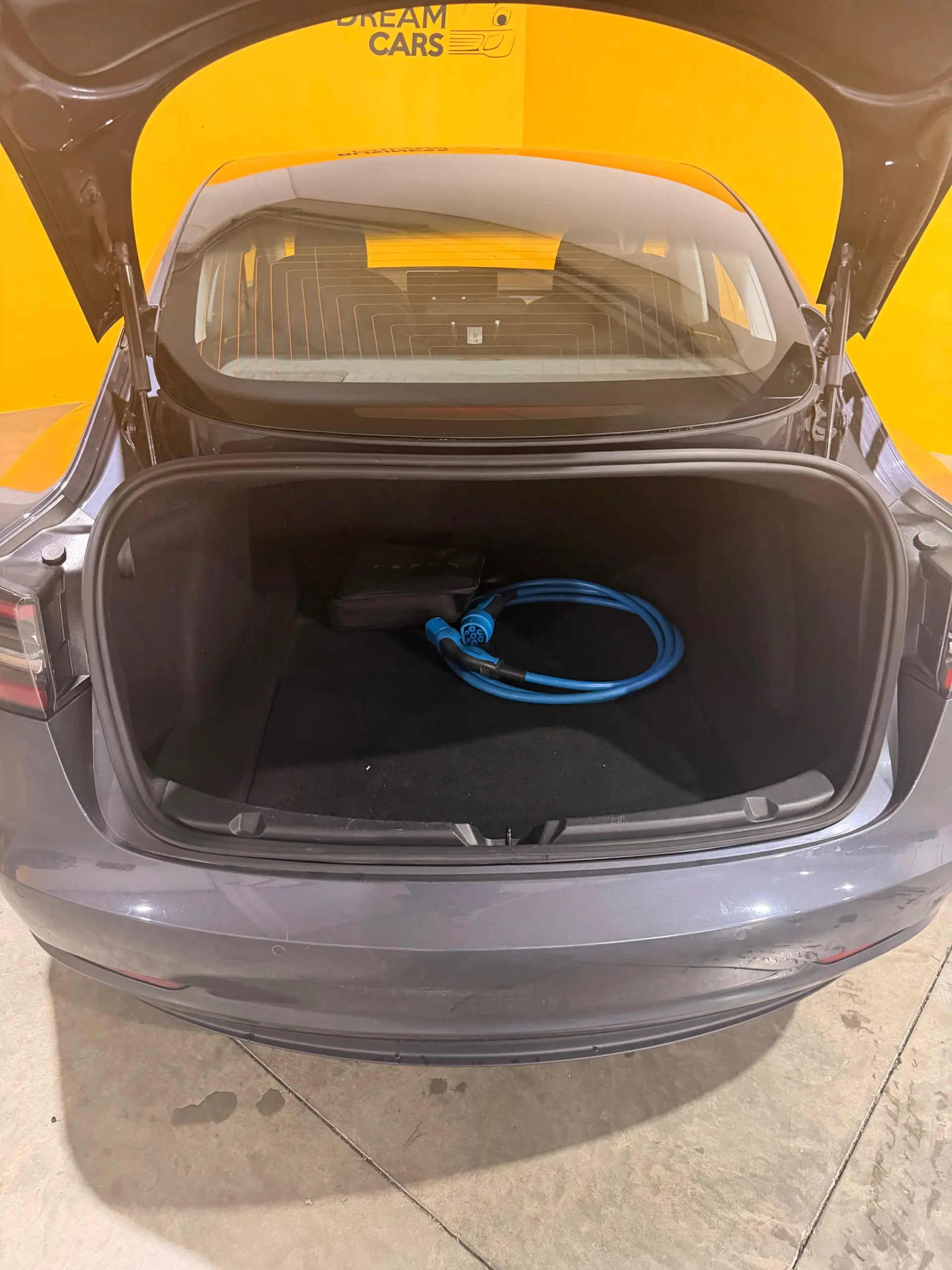Tesla Model 3 Standard Range Plus RWD 12