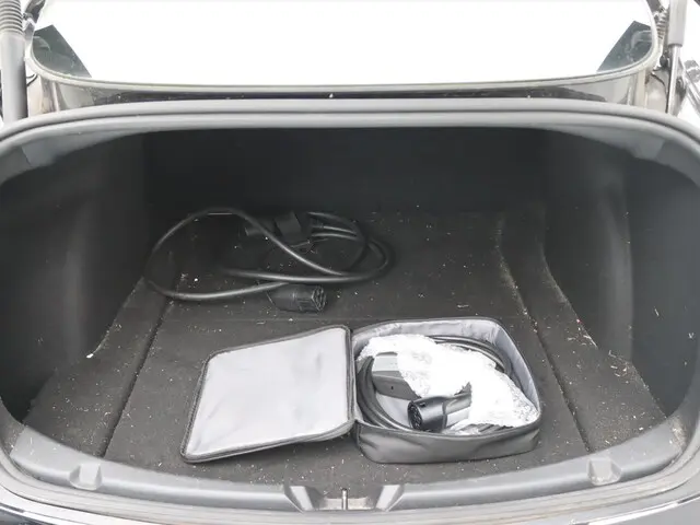 Tesla Model 3 Standard Range Plus RWD 22