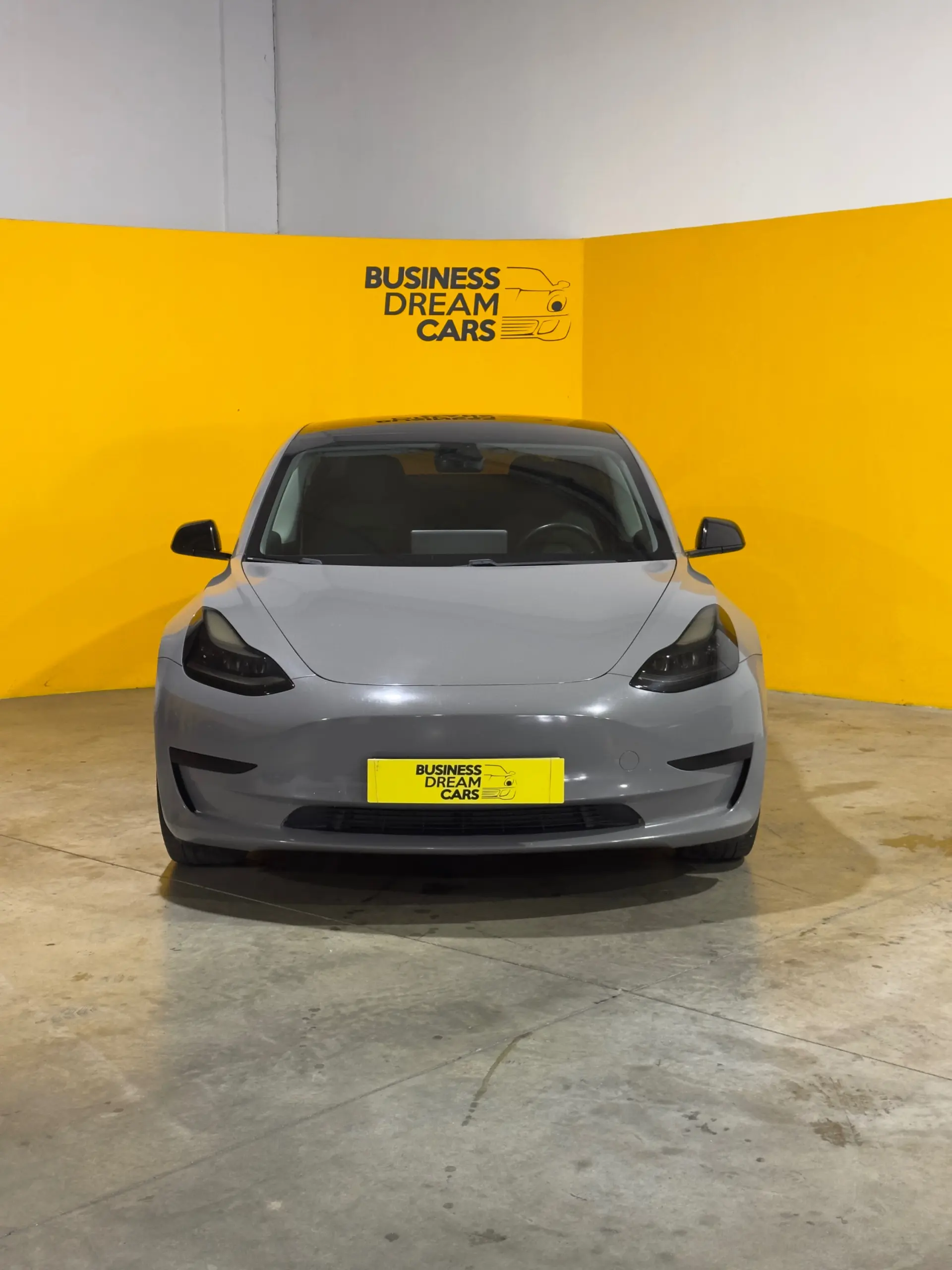 Tesla Model 3 Standard Range Plus RWD 18
