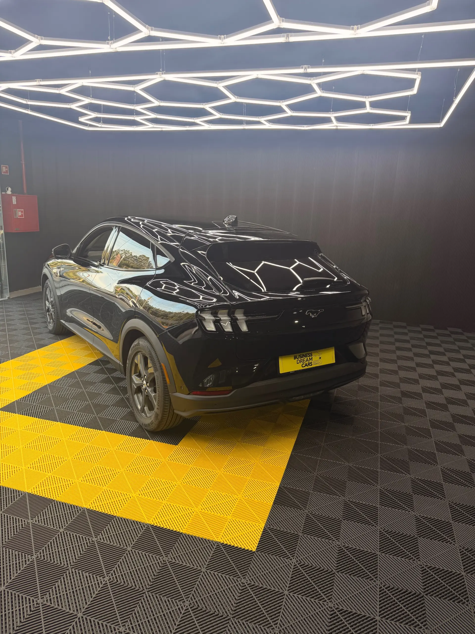 Ford Mustang Mach-E Standard 10