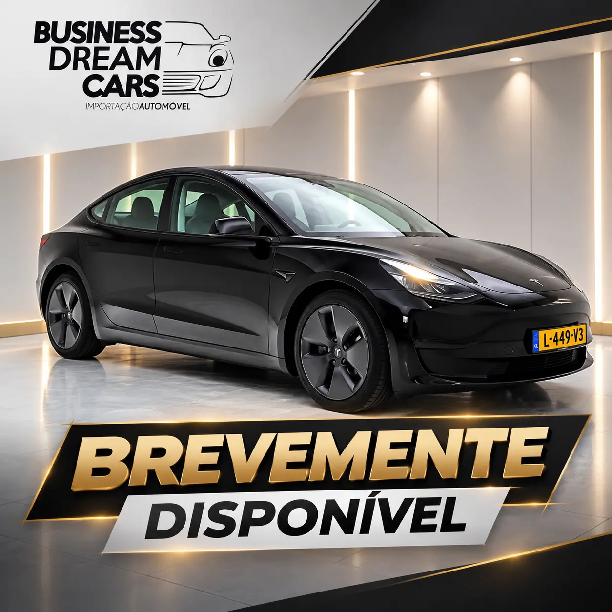 Tesla Model 3 Standard Range Plus RWD 1