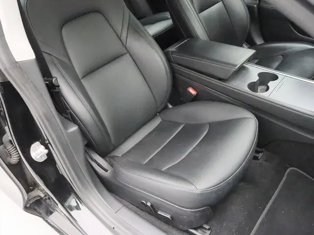 Tesla Model 3 Standard Range Plus RWD 13