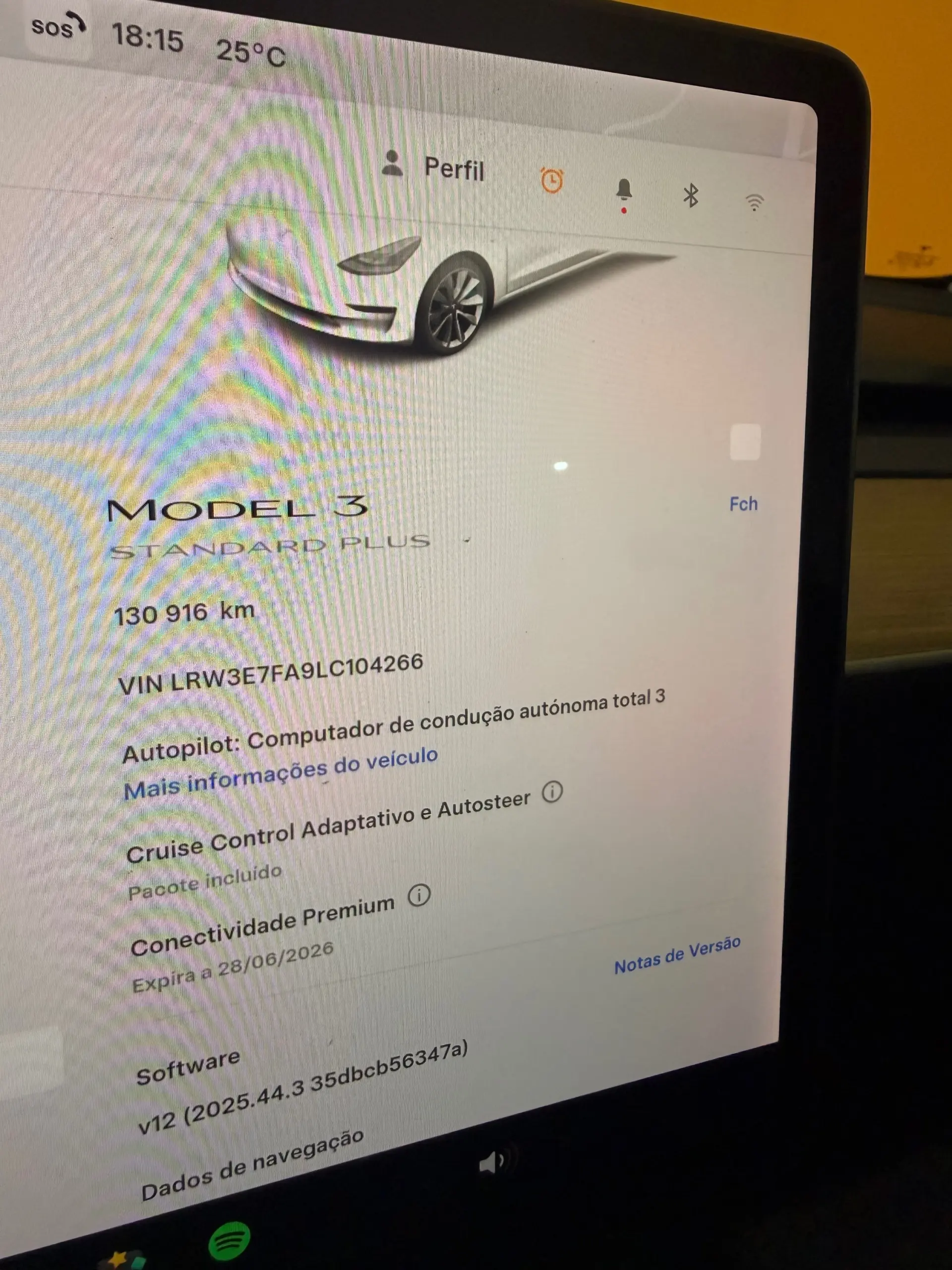Tesla Model 3 Standard Range Plus RWD 16