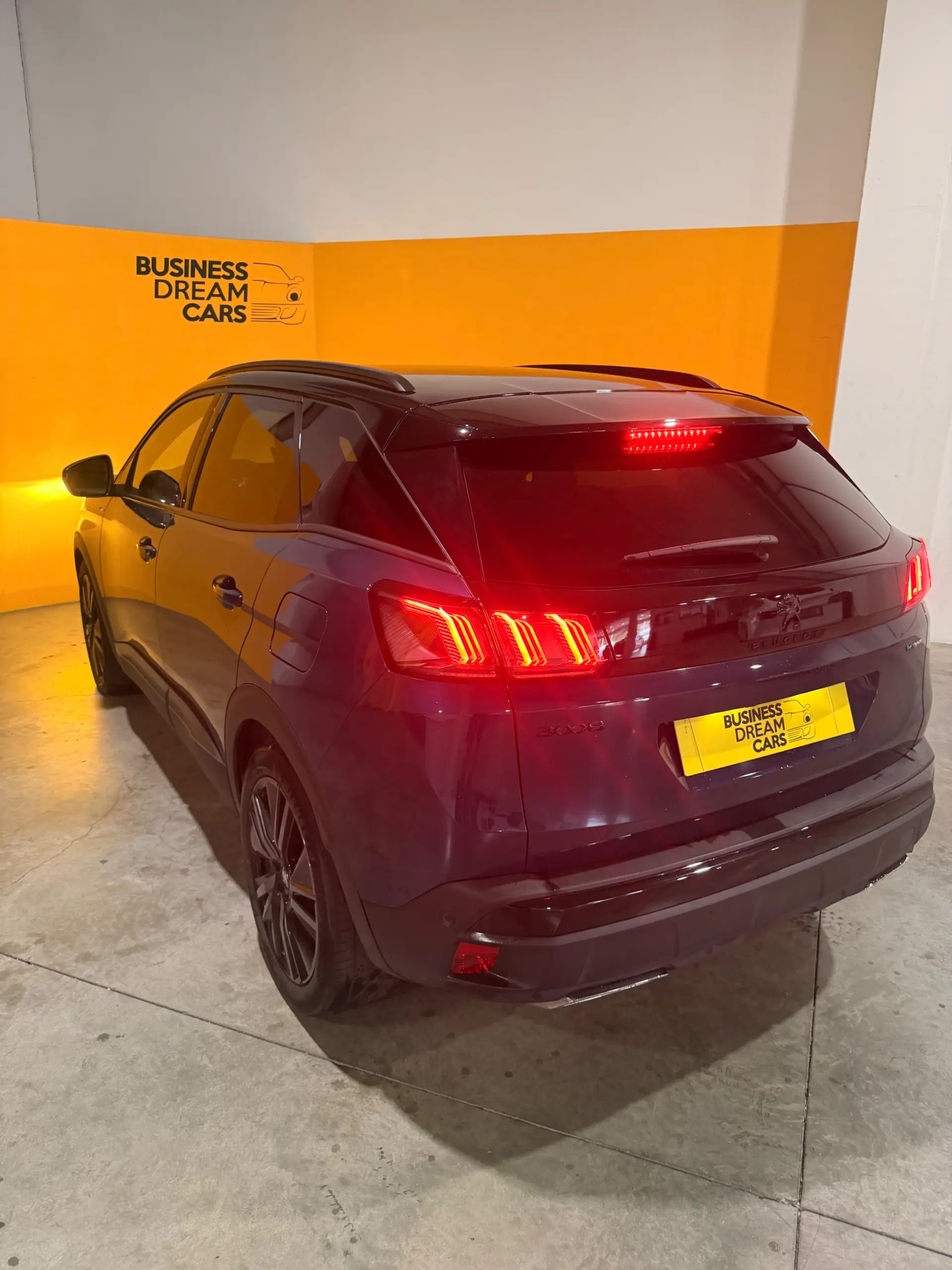 Peugeot 3008 1.6 Hybrid Allure Pack e-EAT8 10