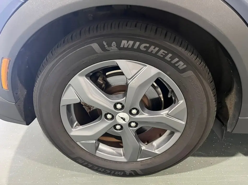 Ford Mustang Mach-E 98.7 kWh Premium AWD 19