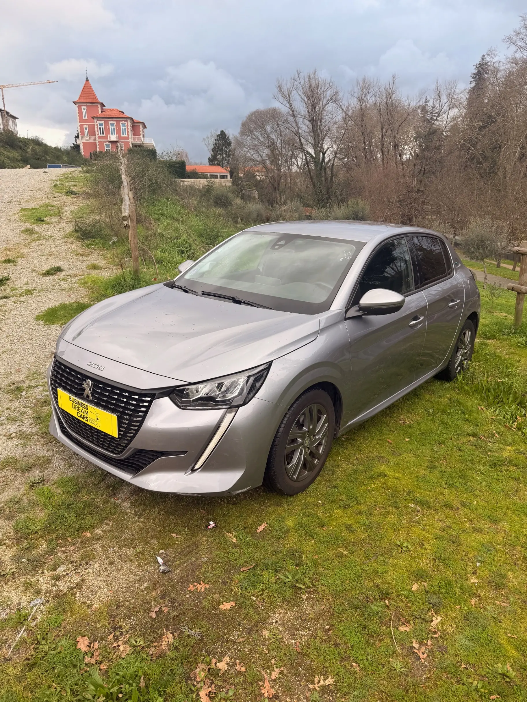 Peugeot 208 Benzin 100 Style 6