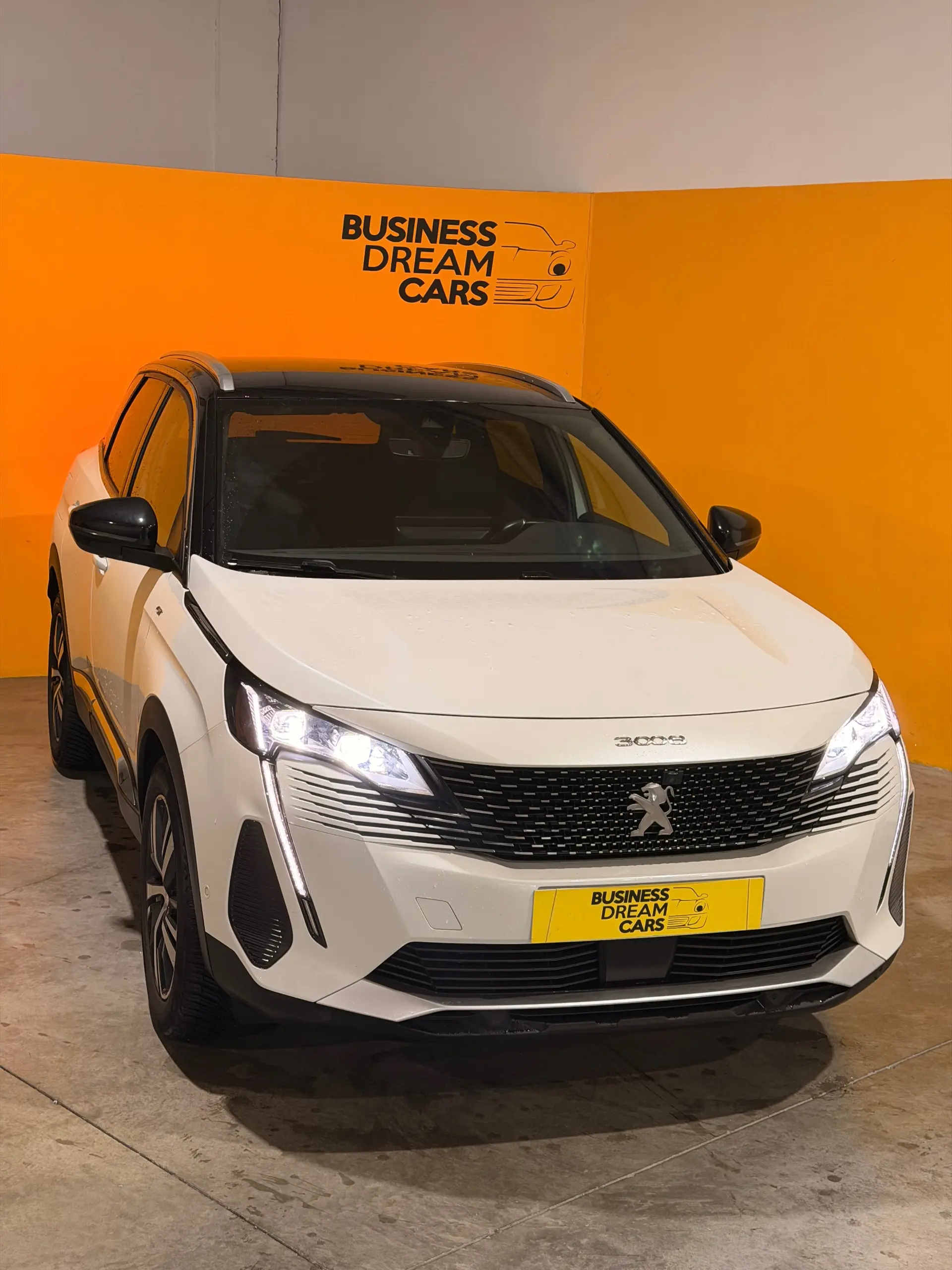 Peugeot 3008 1.5 BlueHDi GT EAT8 2