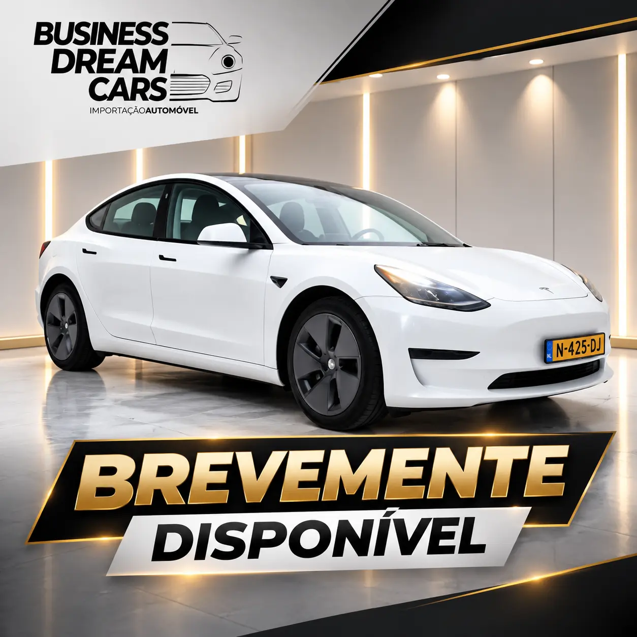 Tesla Model 3 Standard Range Plus RWD 1
