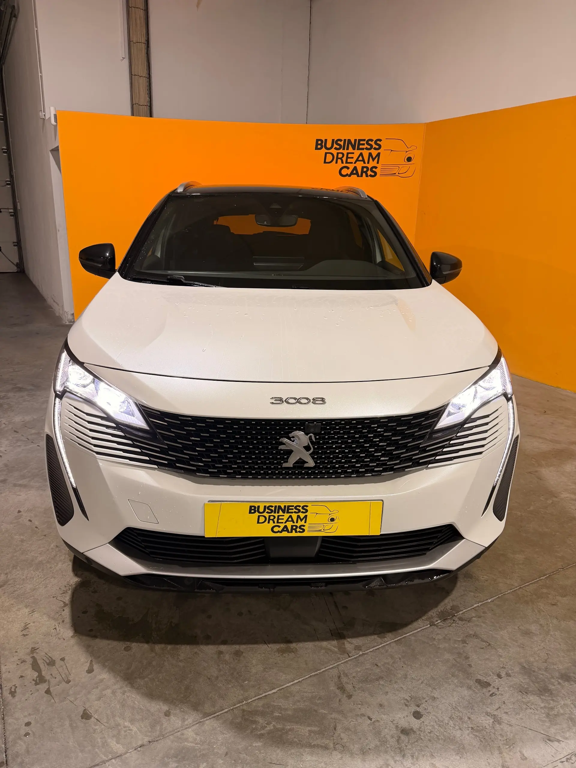 Peugeot 3008 1.5 BlueHDi GT EAT8 3