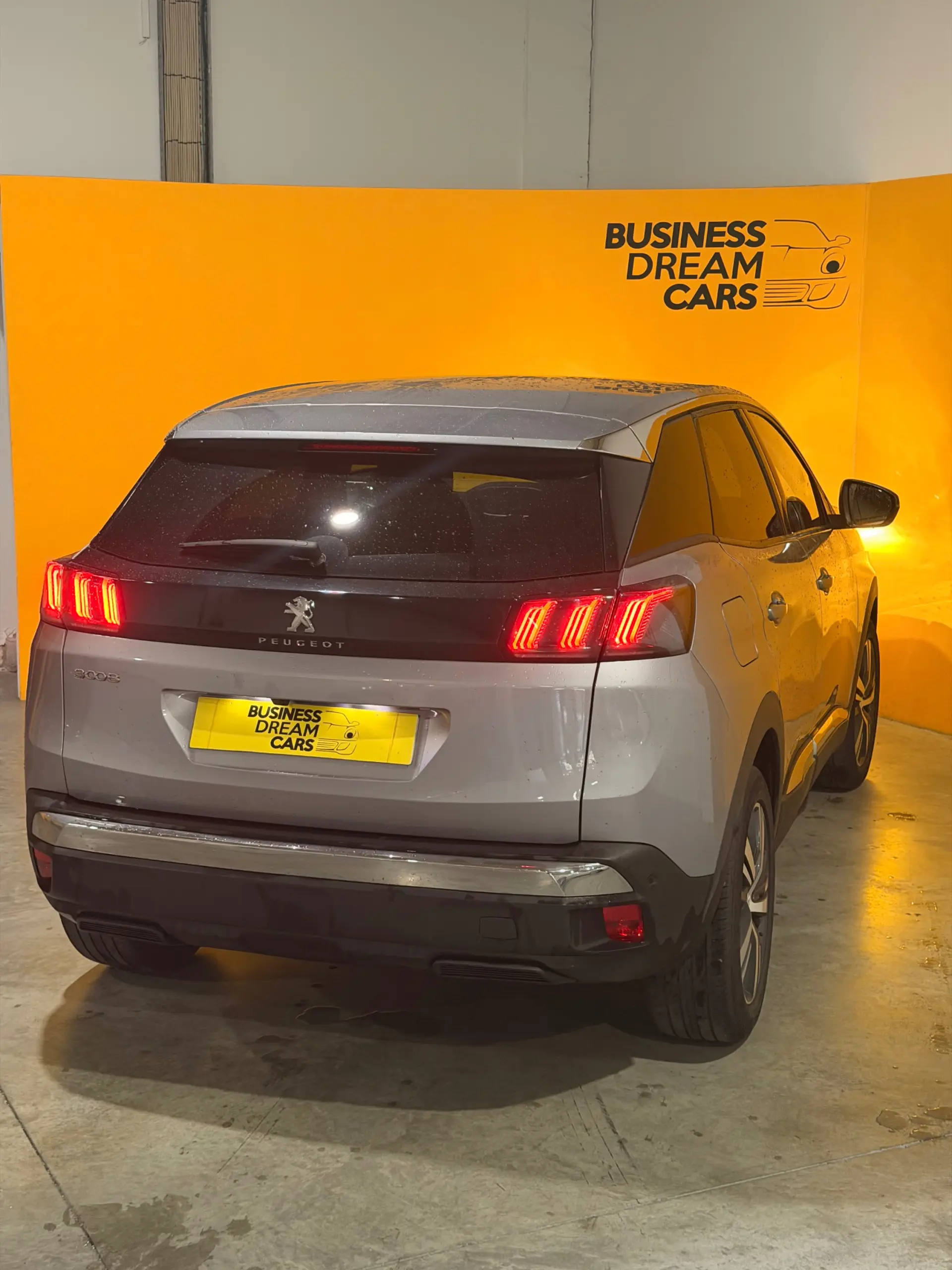 Peugeot 3008 1.5 BlueHDi Allure Pack EAT8 15