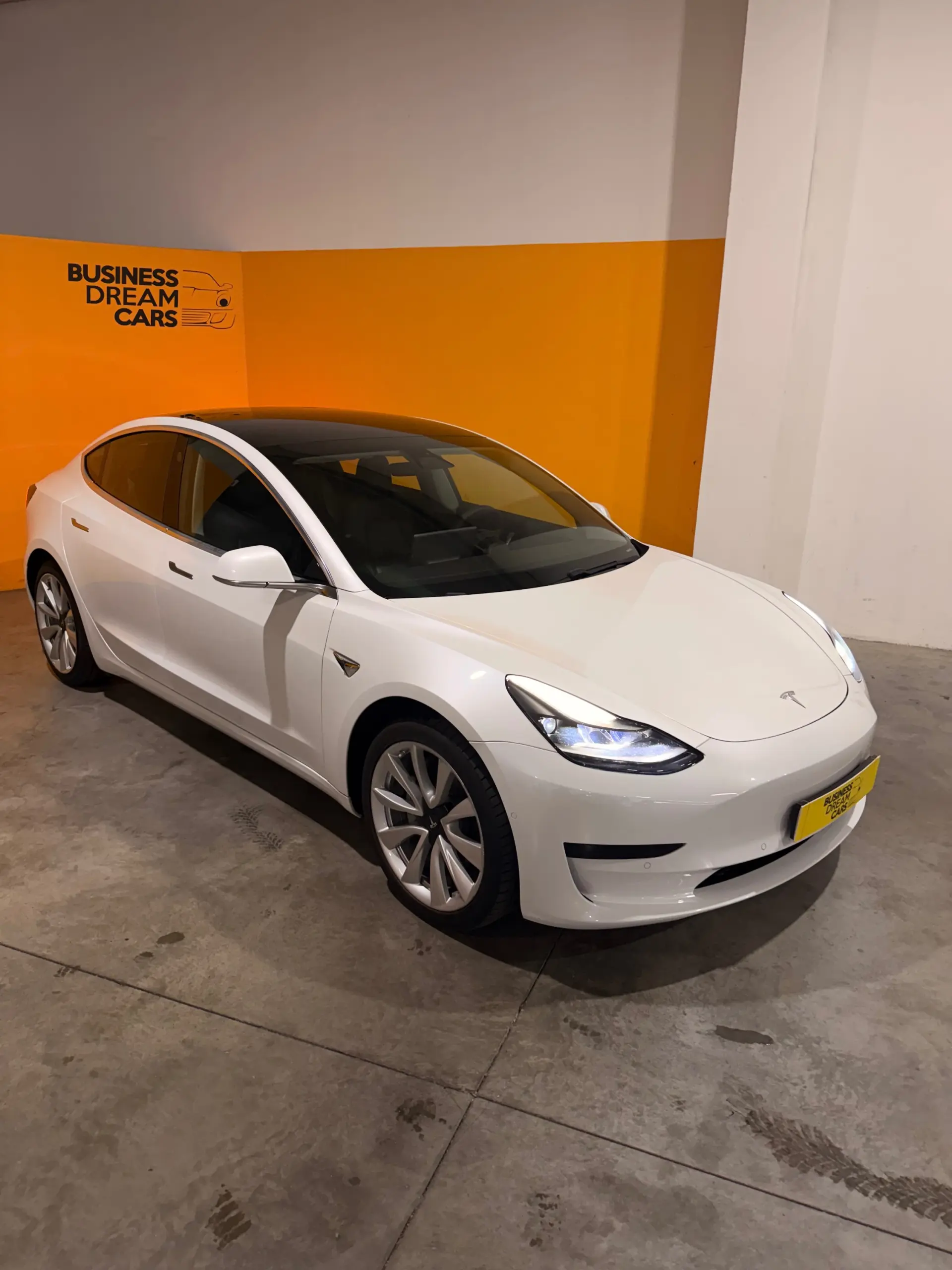 Tesla Model 3 Standard Range Plus RWD 3