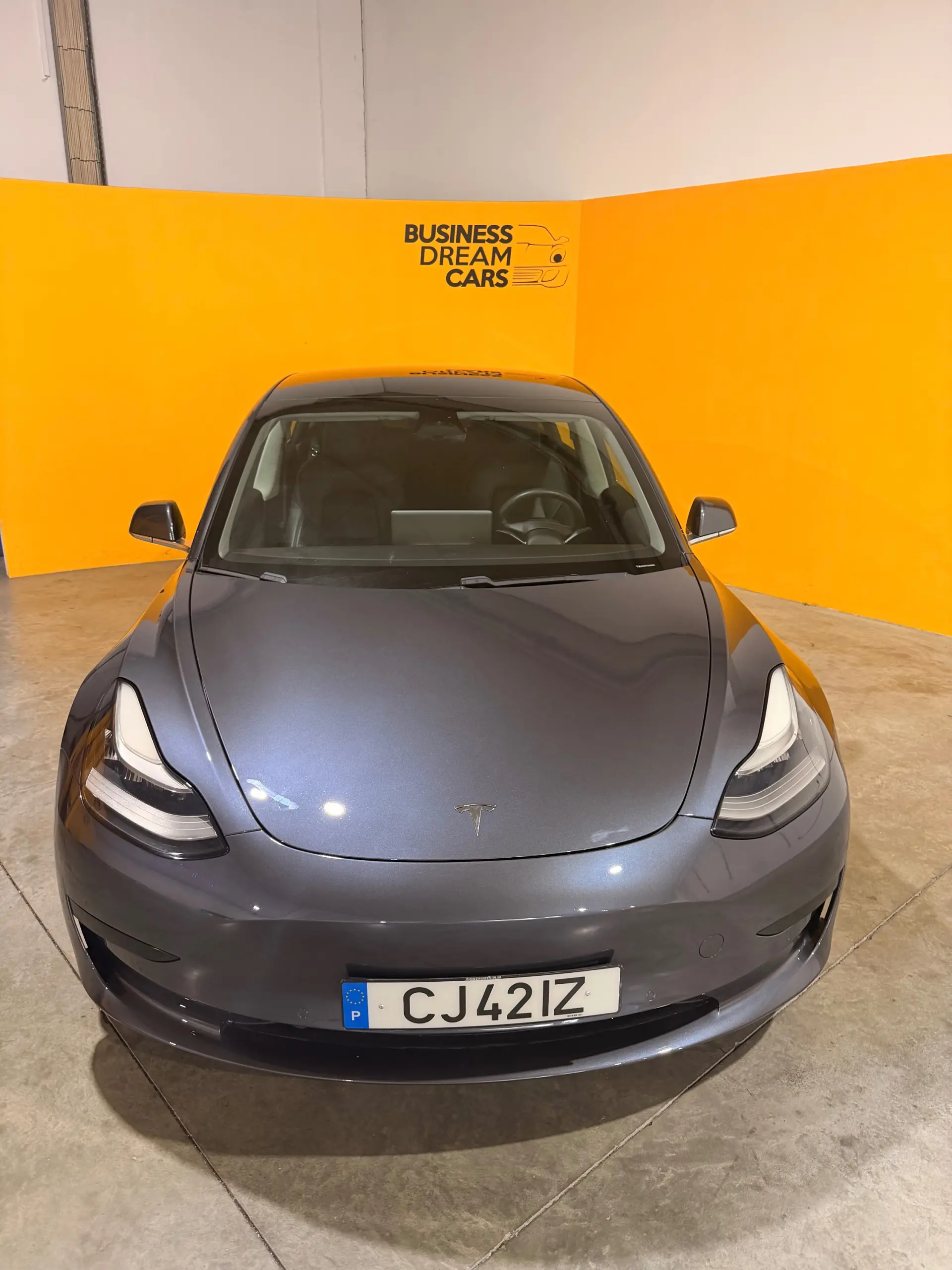 Tesla Model 3 Standard Range Plus RWD 3