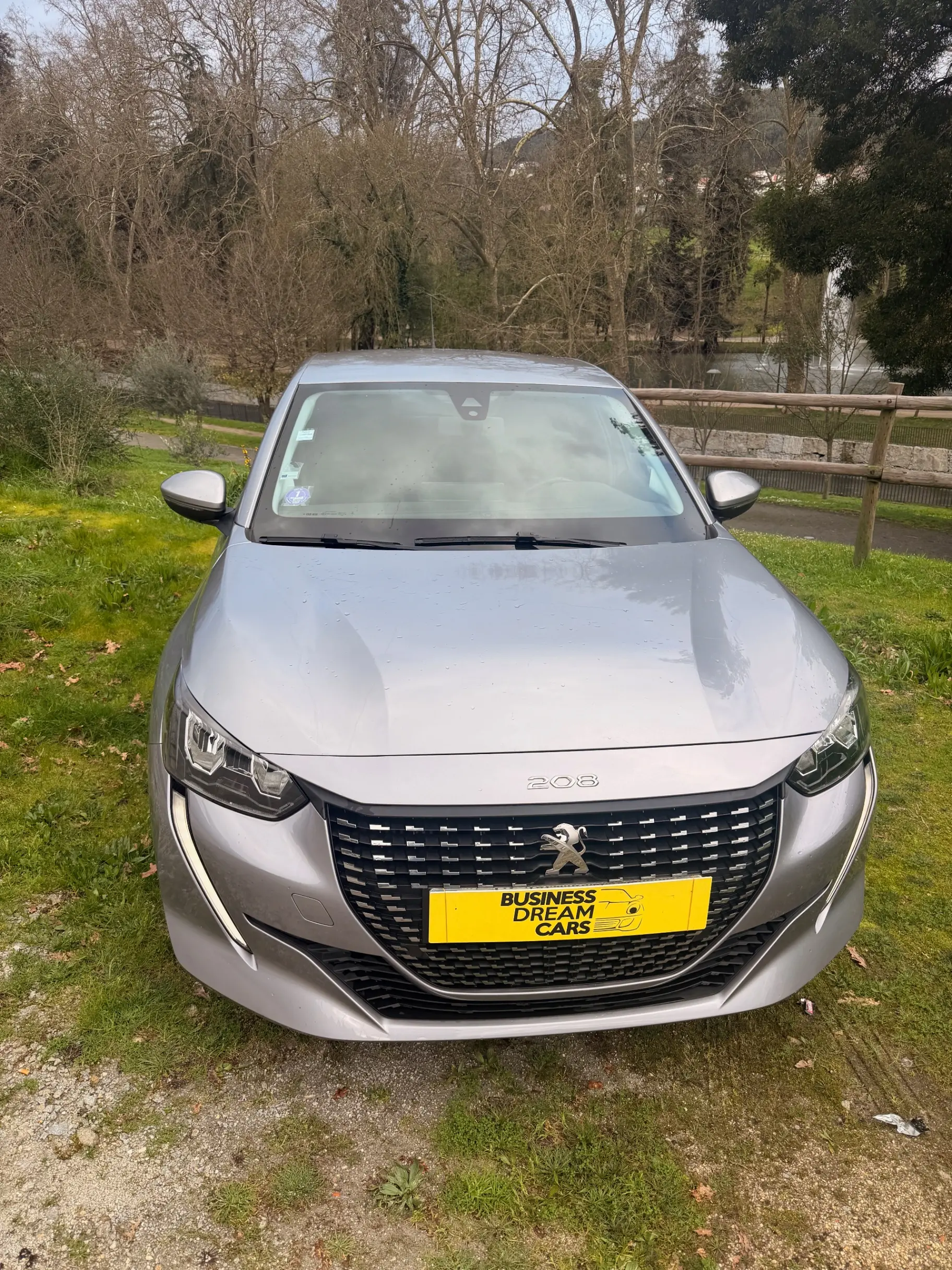 Peugeot 208 Benzin 100 Style 3