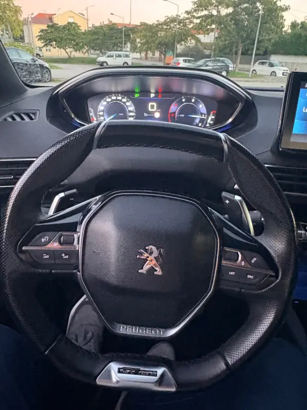 Peugeot 3008 1.6 BlueHDi GT Line EAT6 13
