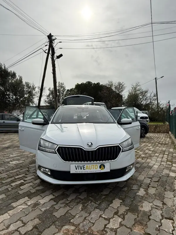 Skoda Fabia 17