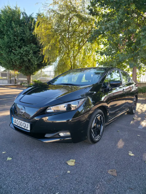 Nissan Leaf Acenta 1
