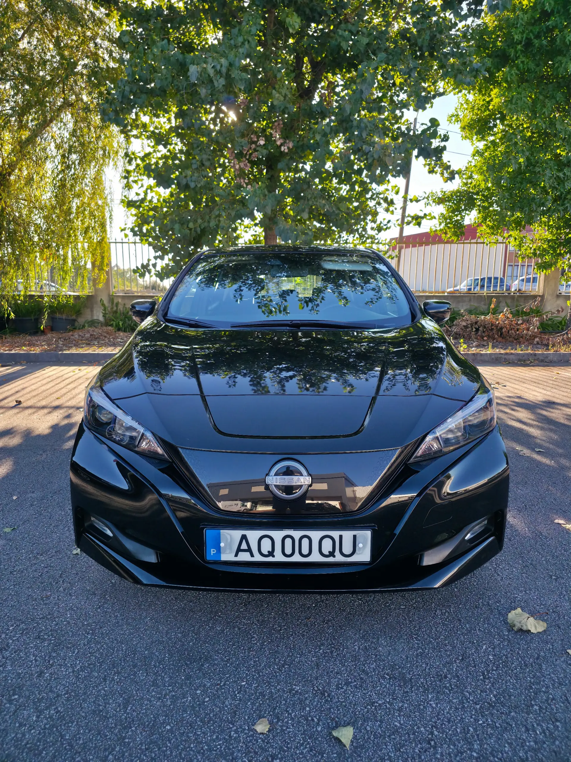 Nissan Leaf Acenta 2
