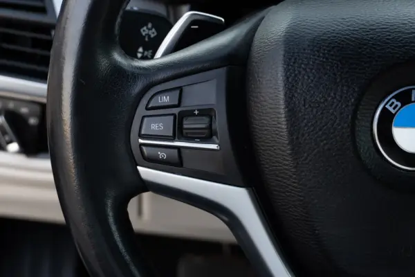 BMW X5 25 d sDrive Comfort 7L 12