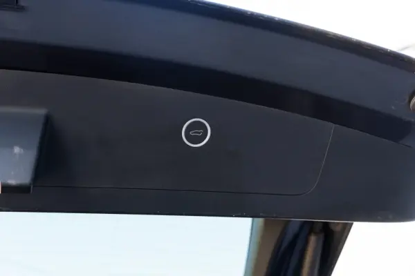 Tesla Model X 55