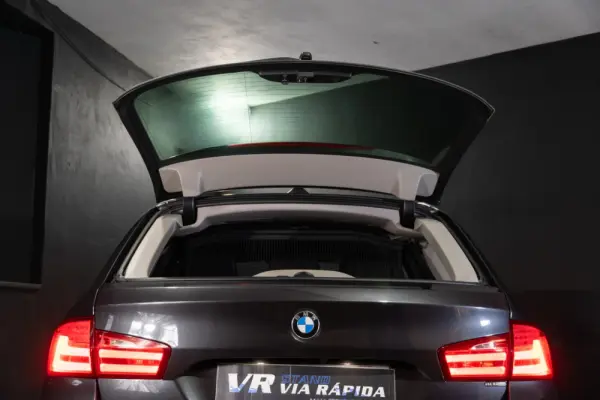 BMW 520 d Line Luxury 10
