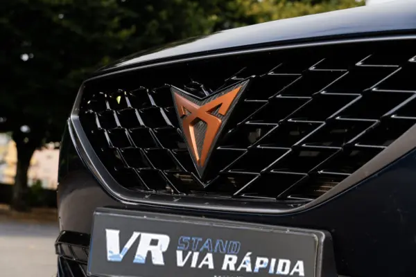 Cupra Formentor 2.0 TDI Sport 53