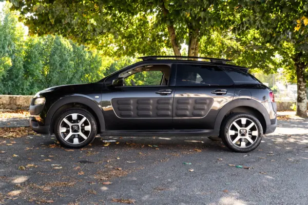 Citroen C4 Cactus 1.2 PureTech Feel 33
