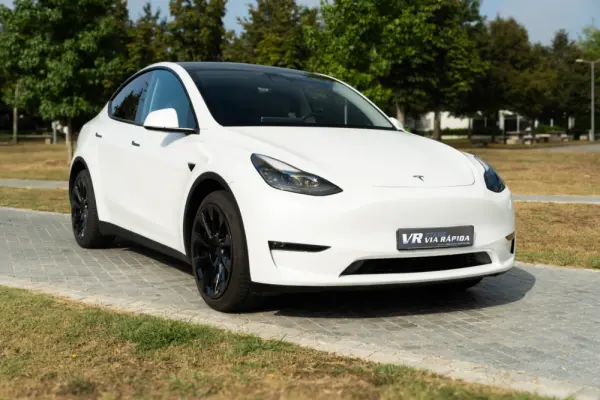Tesla Model Y Long Range Dual Motor AWD 3