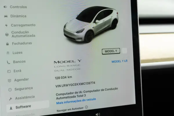 Tesla Model Y Long Range Dual Motor AWD 19