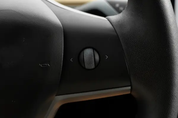 Tesla Model Y Long Range Dual Motor AWD 38
