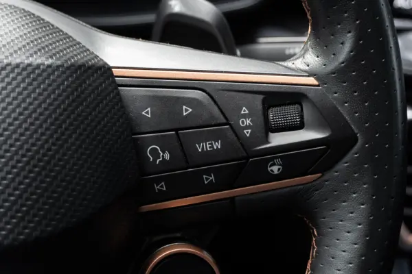 Cupra Formentor 2.0 TDI DSG 36
