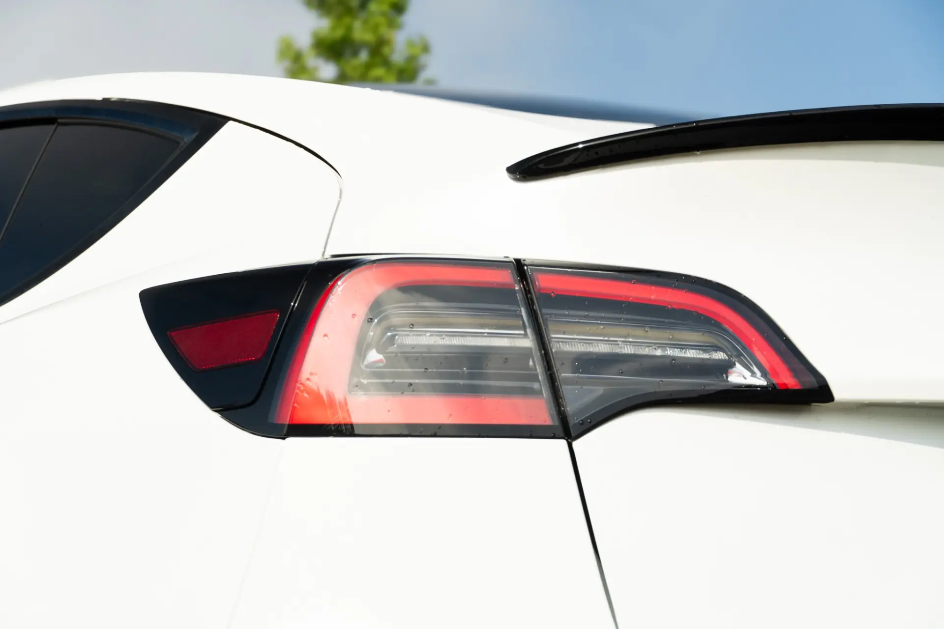 Tesla Model Y Long Range Dual Motor AWD 33