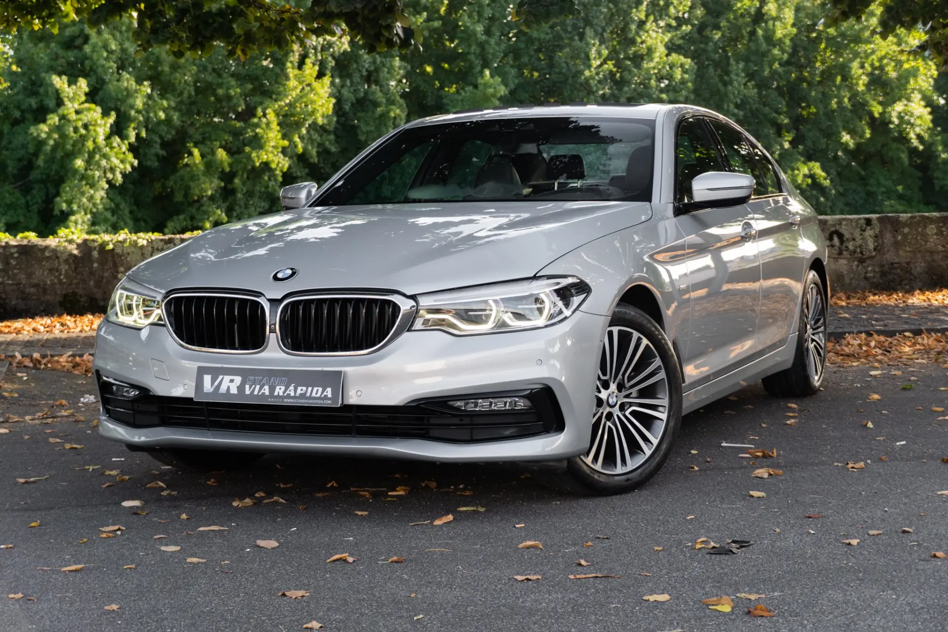 BMW 520 d ED Line Luxury 1