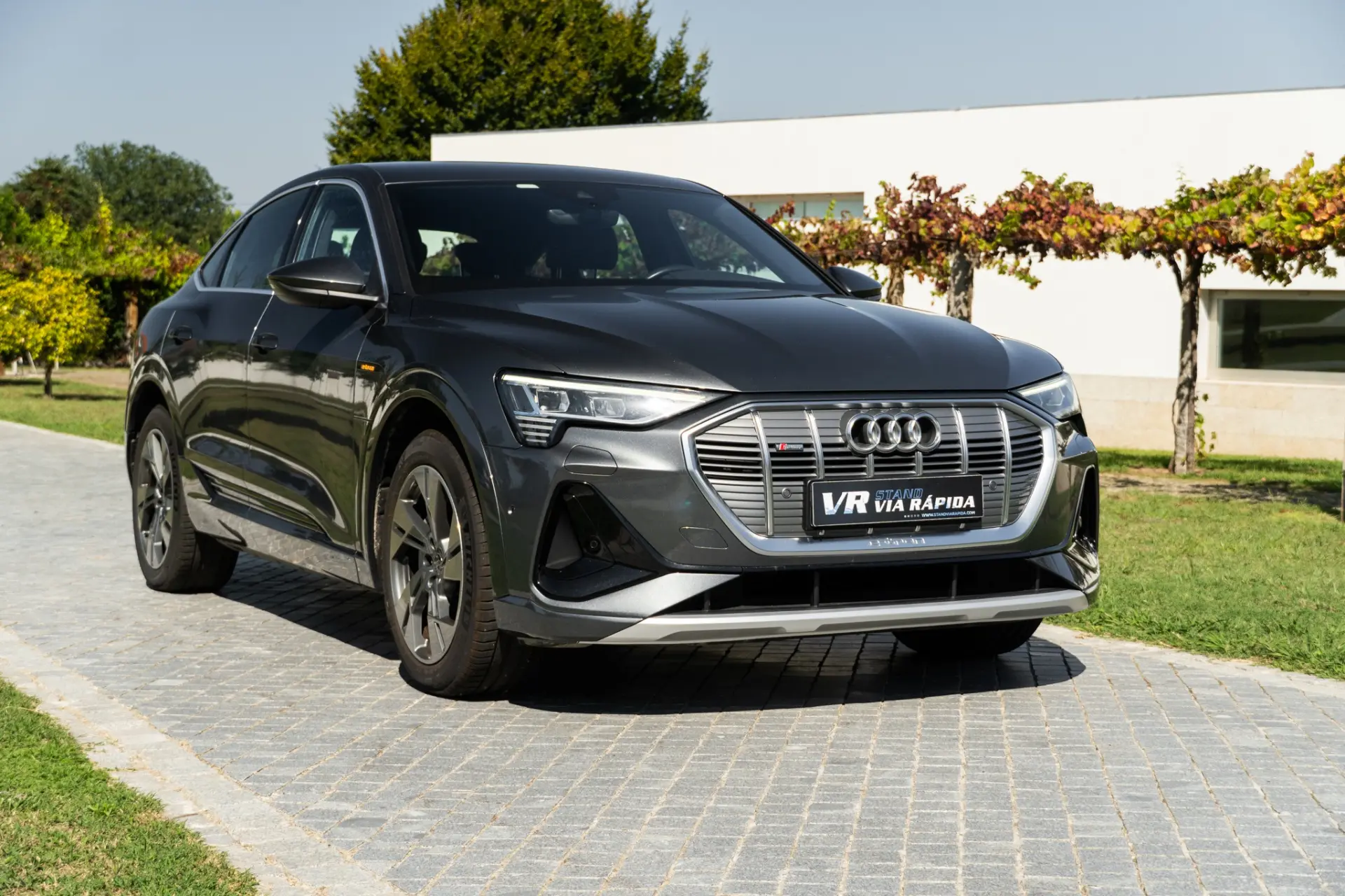 Audi e-tron Sportback 55 quattro S line 24