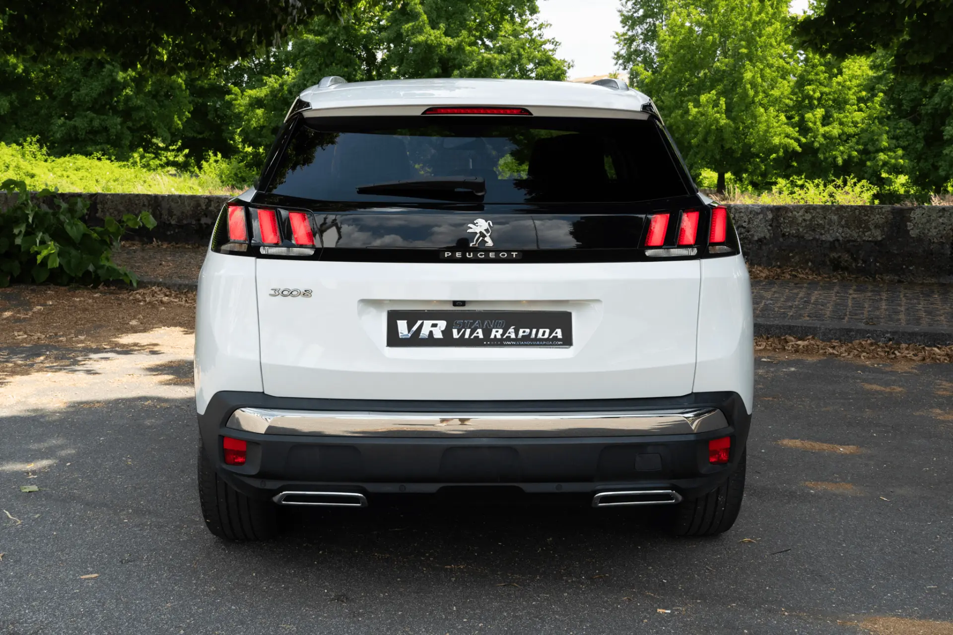 Peugeot 3008 1.5 BlueHDi Allure Pack 5