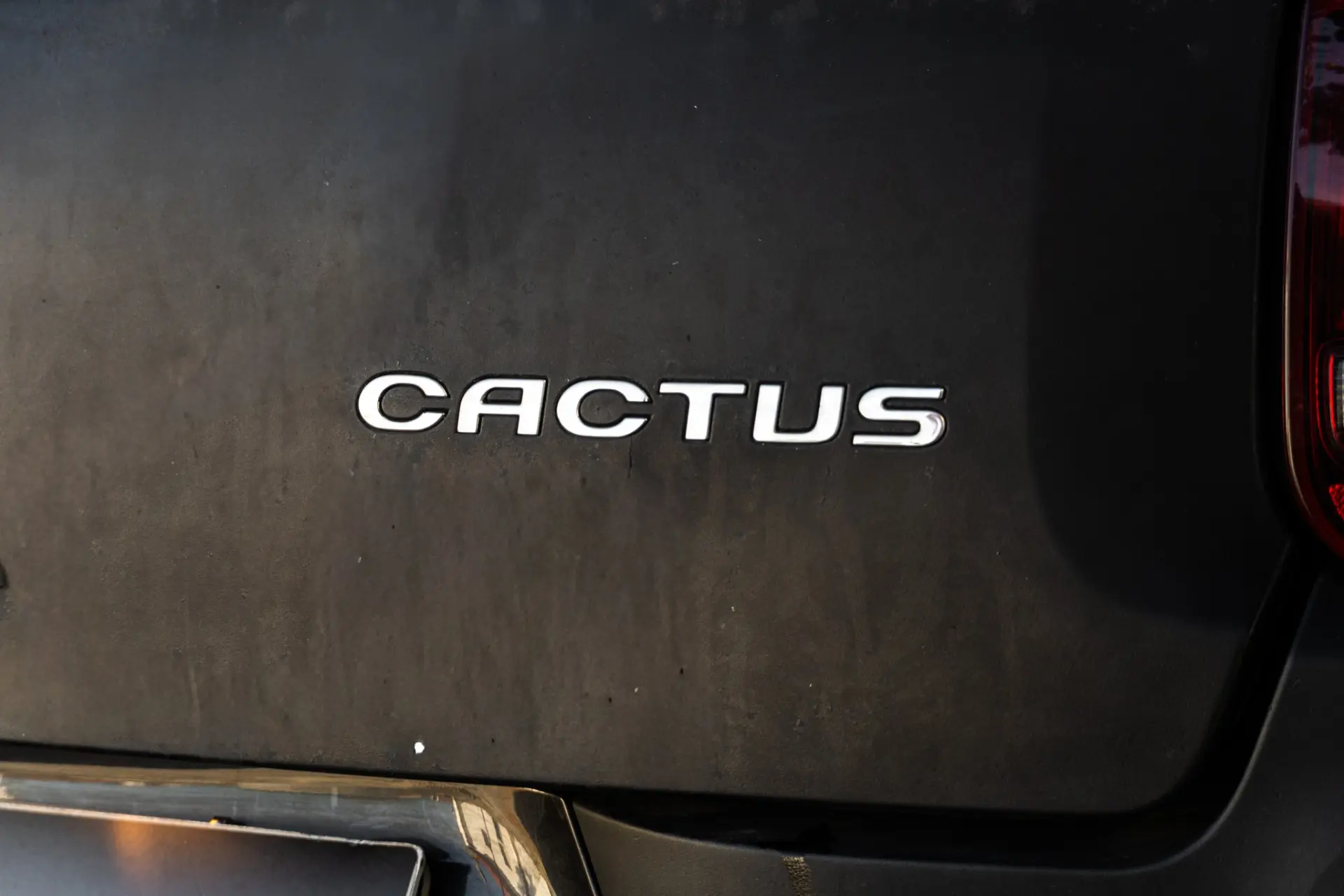 Citroen C4 Cactus 1.2 PureTech Feel 38