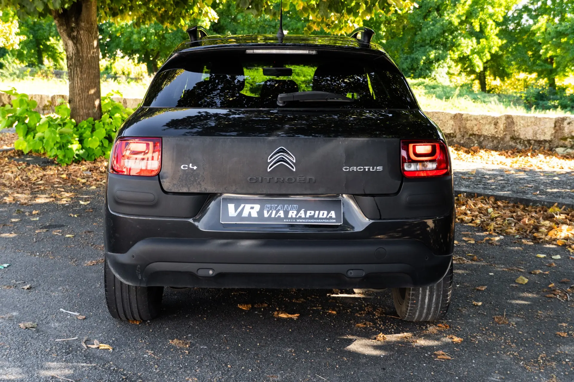Citroen C4 Cactus 1.2 PureTech Feel 4
