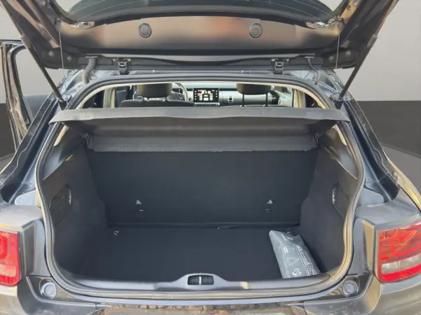 Citroen C4 Cactus 1.6 BlueHDi Shine 15