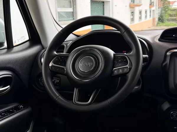 Jeep Renegade 1.0 T Limited 15