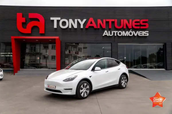 Tesla Model Y Long Range Dual Motor AWD 1