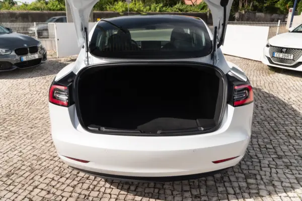 Tesla Model 3 Long Range AWD Dual Motor Performance 25
