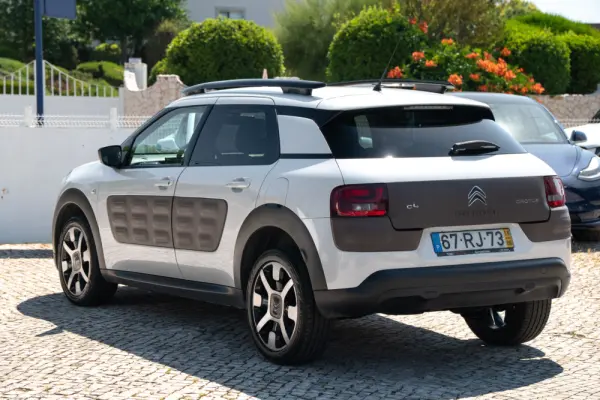 Citroen C4 Cactus 1.6 BlueHDi Feel 10