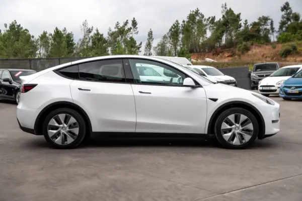 Tesla Model Y Long Range Dual Motor AWD 24