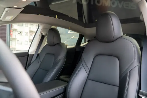 Tesla Model Y Performance Dual Motor AWD 24