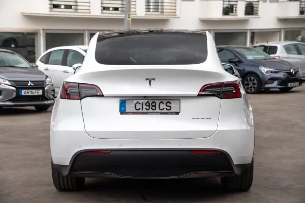 Tesla Model Y Long Range Dual Motor AWD 26
