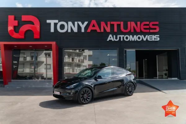 Tesla Model Y Performance Dual Motor AWD 1